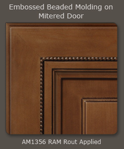 AM1356 (S424-Ontario) Embossed Beaded Applied Molding RAM 23mm