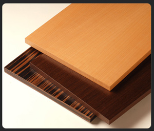 Reconstituted Veneers