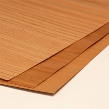 Paper Back Veneers