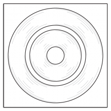 Rosette 1141 (IR100)