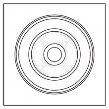 Rosette 1929 (IR300)