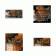 Web Badges Feature