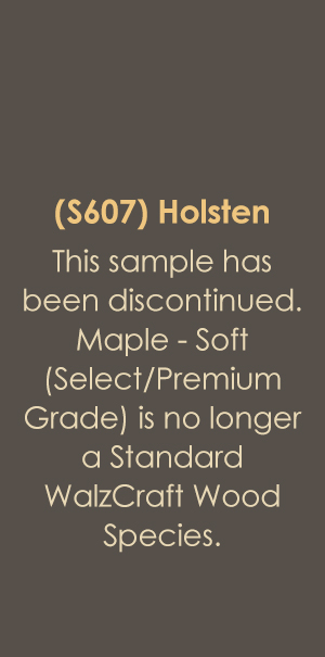 Holsten S607 Raised Panel Cabinet Door Design