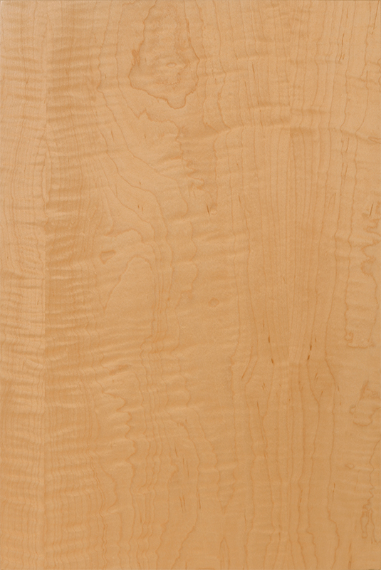 Plain Sliced Curly Maple Veneer Wood Species