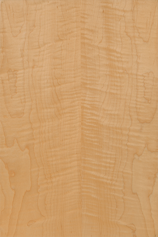 Curly Maple Veneer Wood Species