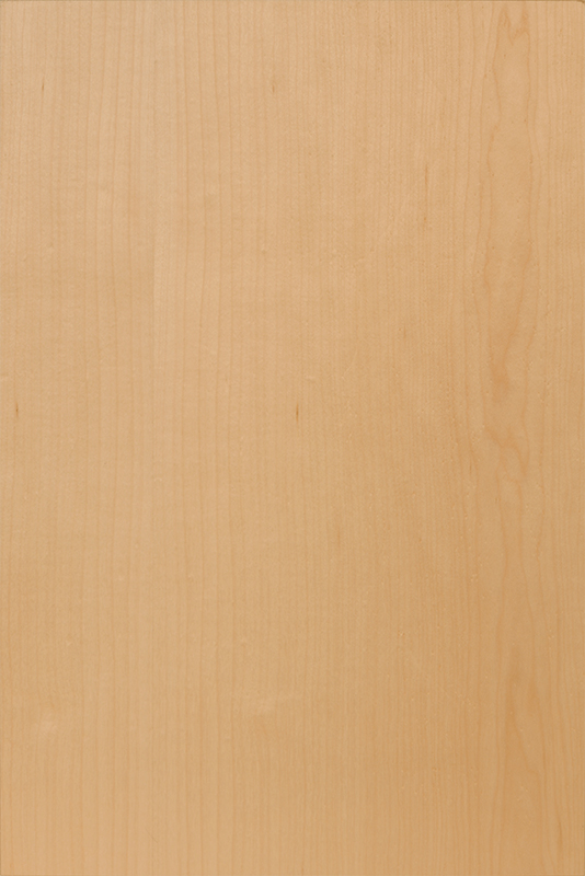 Plain Sliced Hard Maple Veneer Wood Species