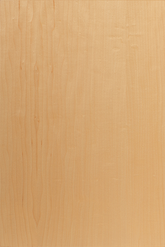 Hard Maple Veneer Wood Species