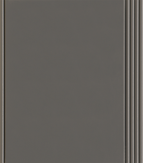 Dark Gray (ST) Paint